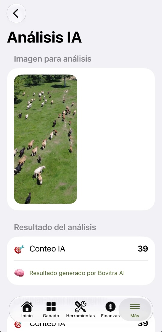 Conteo de ganado con IA en Bovitra